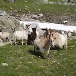 Parque de Campismo Skysstasjonen
