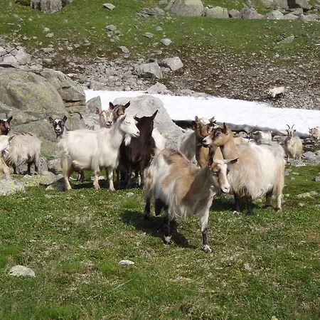 مكان تخييم Skysstasjonen